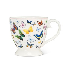 butterflycup