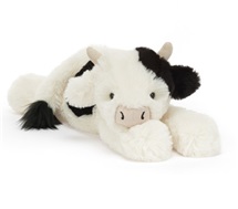 capture-d-ecran-2026-01-21-132648