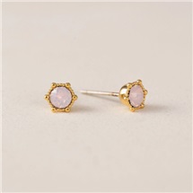 capture-d-ecran-2026-02-20-223551