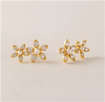 capture-d-ecran-2026-02-21-184149