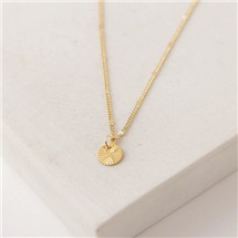 capture-d-ecran-2026-02-24-143939