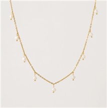 capture-d-ecran-2026-02-24-152411