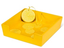 capture-d-ecran-2026-02-25-202218