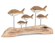 capture-d-ecran-2026-03-02-053451