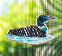 capture-d-ecran-2026-03-02-104505