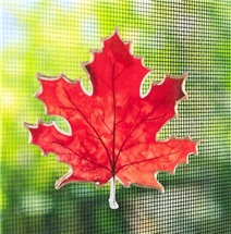 capture-d-ecran-2026-03-02-104825