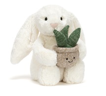 capture-d-ecran-2026-03-17-125439