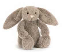 capture-d-ecran-2026-03-18-130332