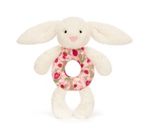 screen-shot-2026-01-31-at-12-29-08-pm