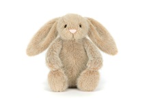 screen-shot-2026-02-23-at-11-23-45-am