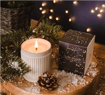 screenshot-2026-03-24-at-12-15-12-pm