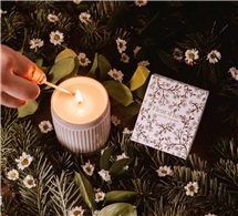 screenshot-2026-03-24-at-12-18-37-pm