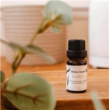 screenshot-2026-03-25-at-1-17-23-pm