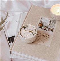 screenshot-2026-03-25-at-1-29-20-pm