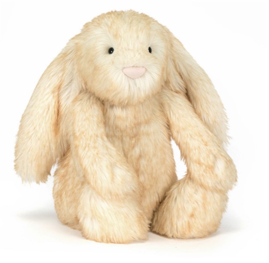 capture-d-ecran-2026-01-21-130252