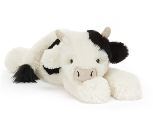 capture-d-ecran-2026-01-21-132648