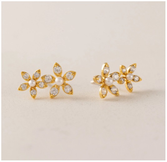 capture-d-ecran-2026-02-21-184149