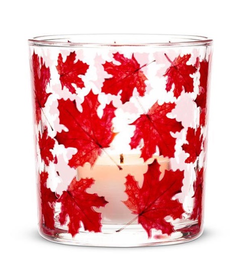 capture-d-ecran-2026-02-26-112204