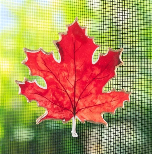 capture-d-ecran-2026-03-02-104825