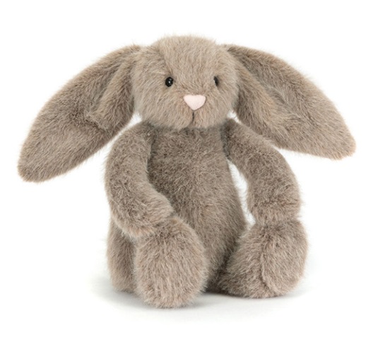 capture-d-ecran-2026-03-18-130332