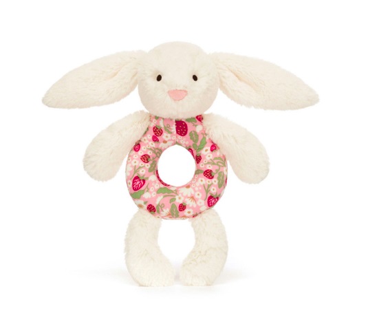 screen-shot-2026-01-31-at-12-29-08-pm