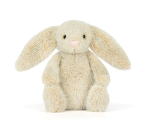 screen-shot-2026-02-23-at-11-12-01-am