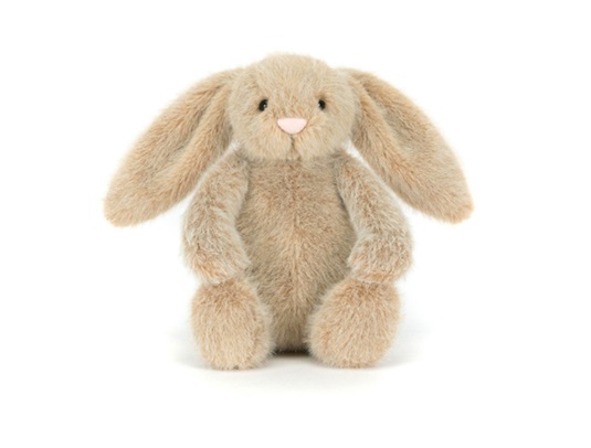 screen-shot-2026-02-23-at-11-23-45-am