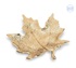 screenshot-2026-08-26-at-12-59-49-pm